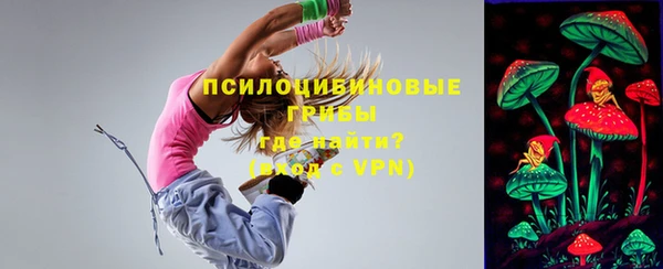 не бодяженный Алексин