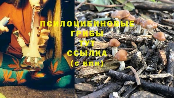 COCAINE Алзамай